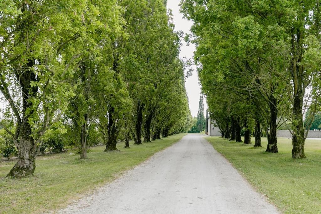 Agriturismo Corte D'Acqua أبانو تيرمي المظهر الخارجي الصورة